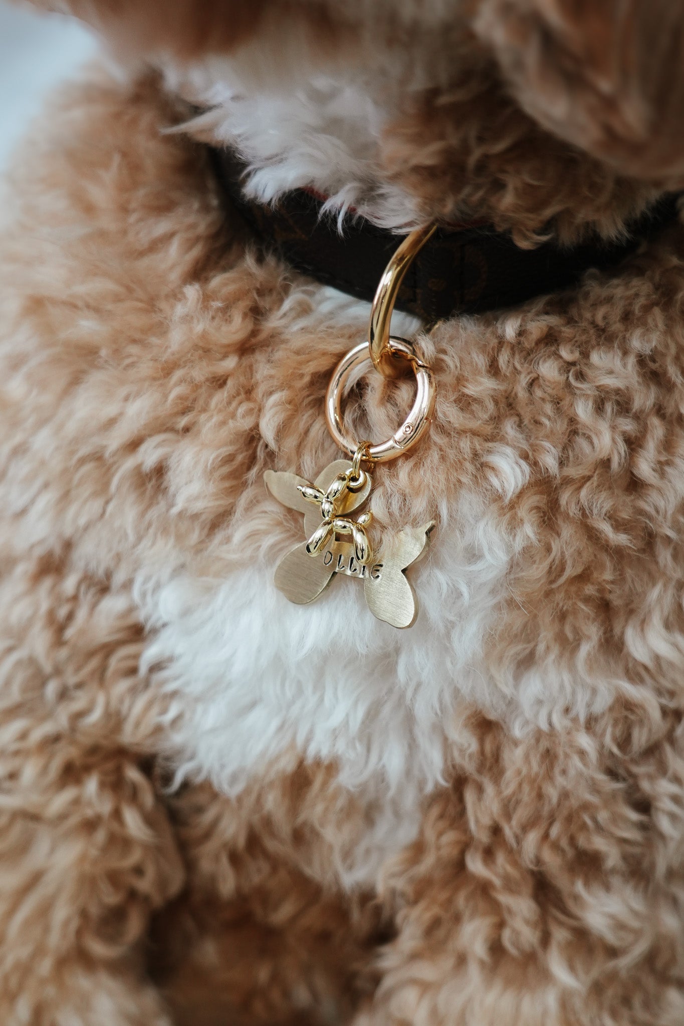 balloon dog tag