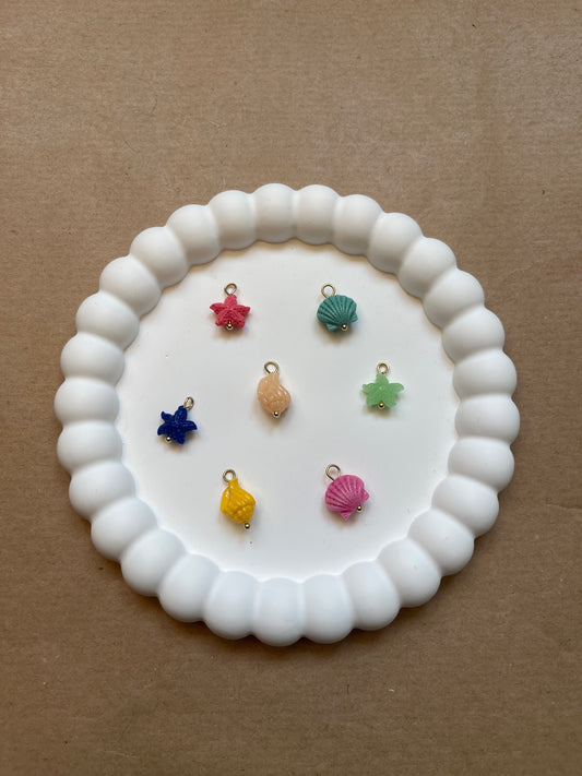Multicolour shells & starfish