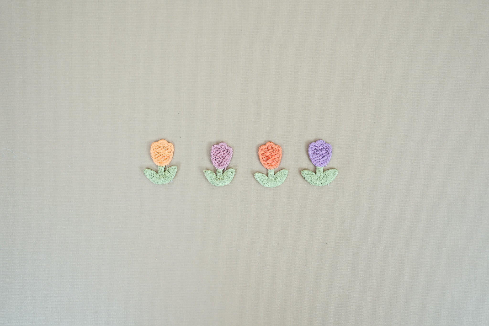 Tulips