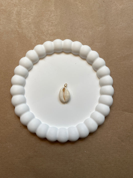 Kauri shell