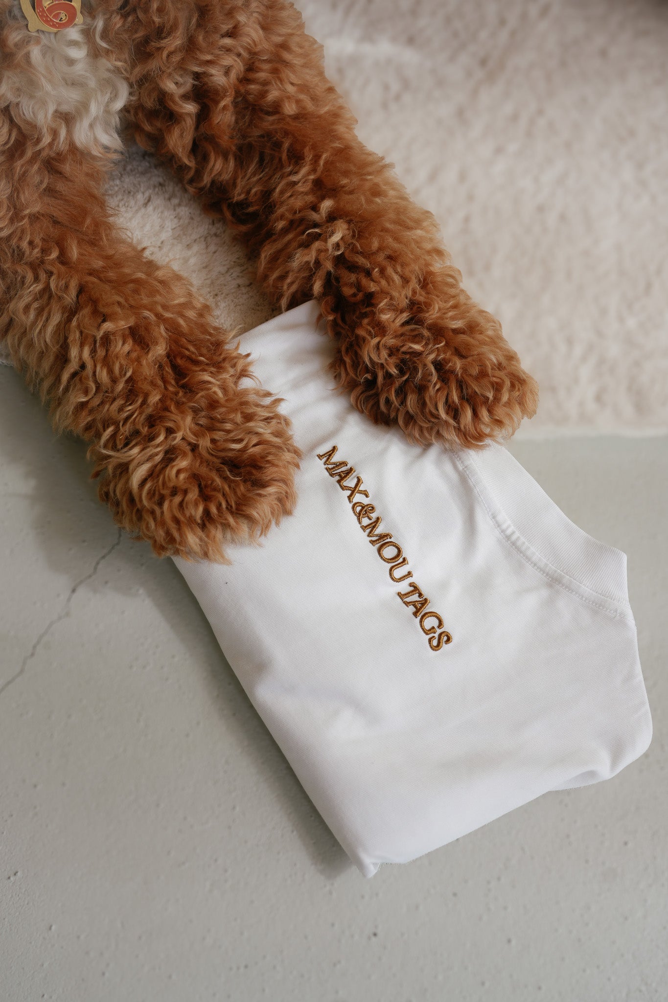 Le Tee de Tous les Jours