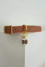 Our Signature Walk Set