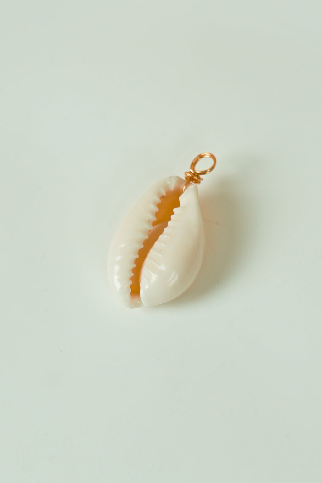 Kouri Shell Kauri shell – MAX&MOU TAGS
