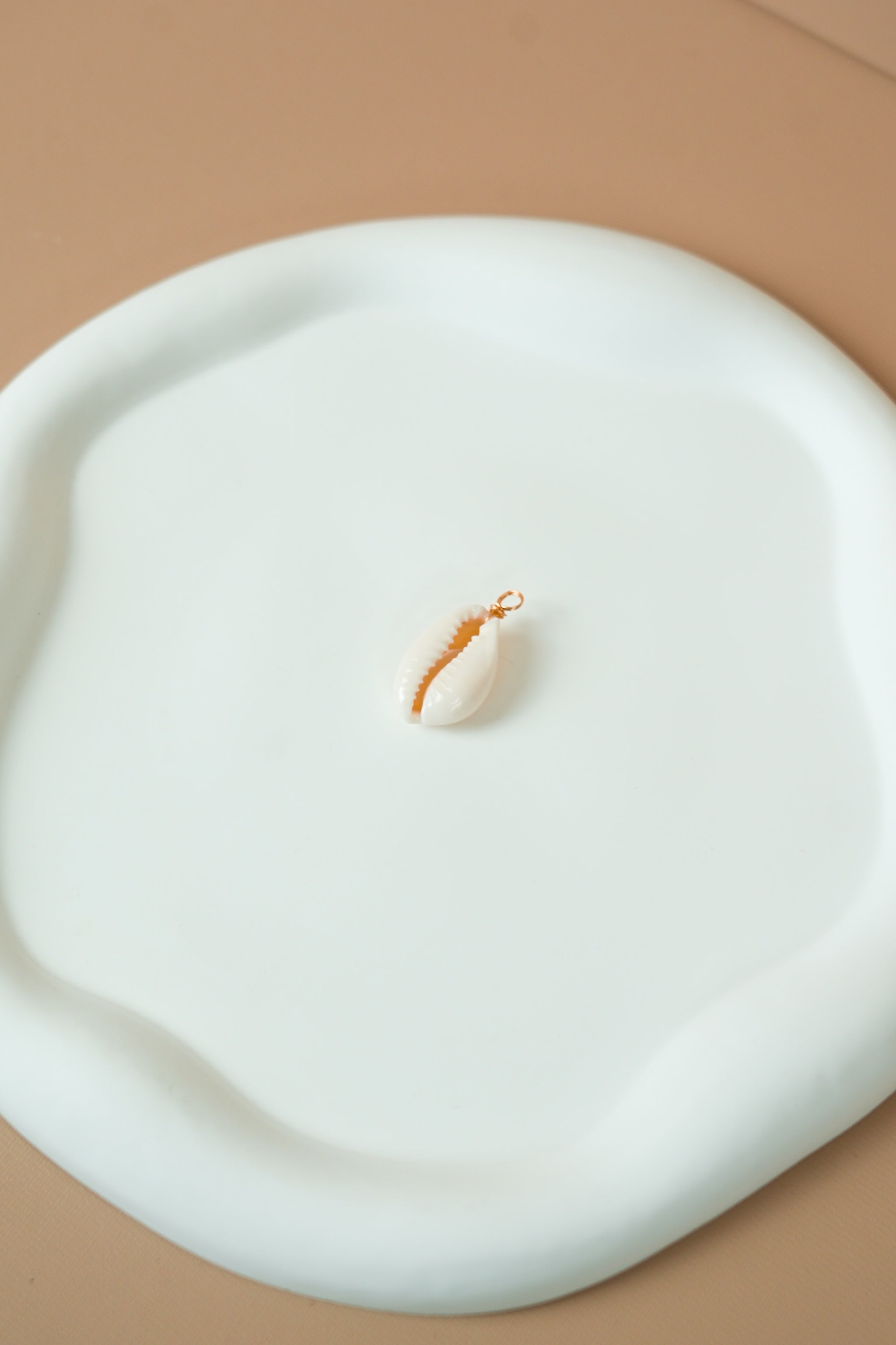 Kauri shell