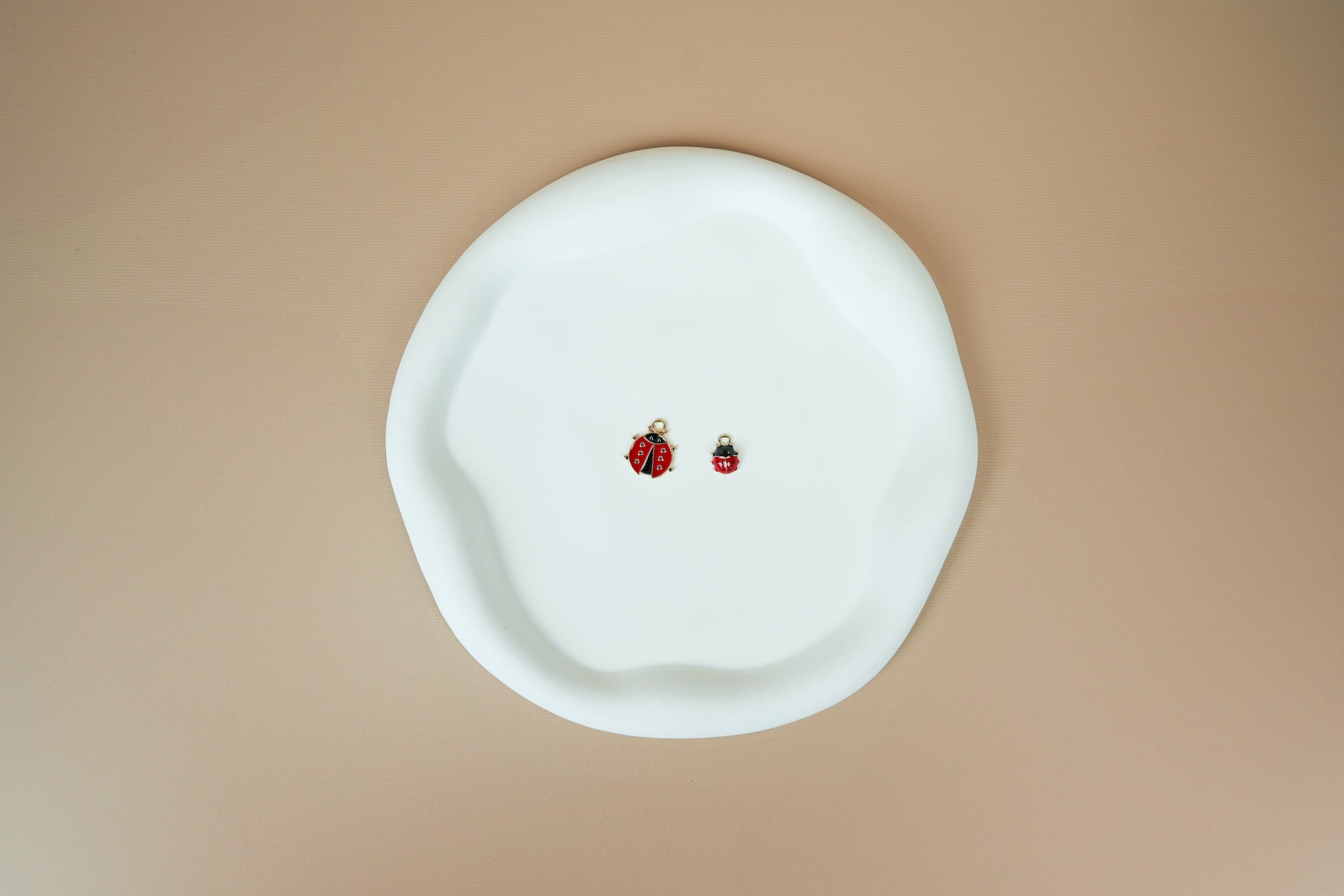 Ladybug