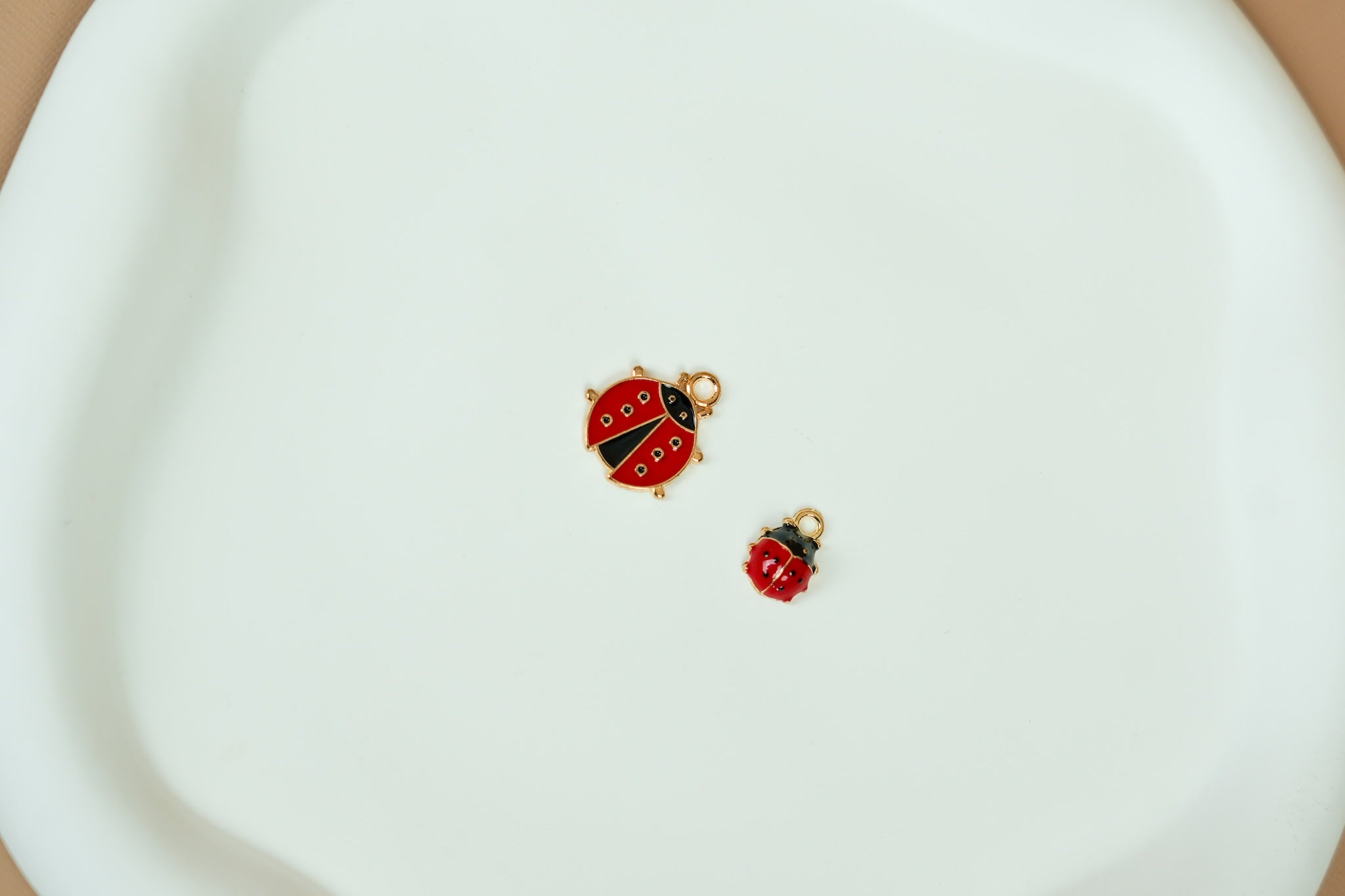 Ladybug