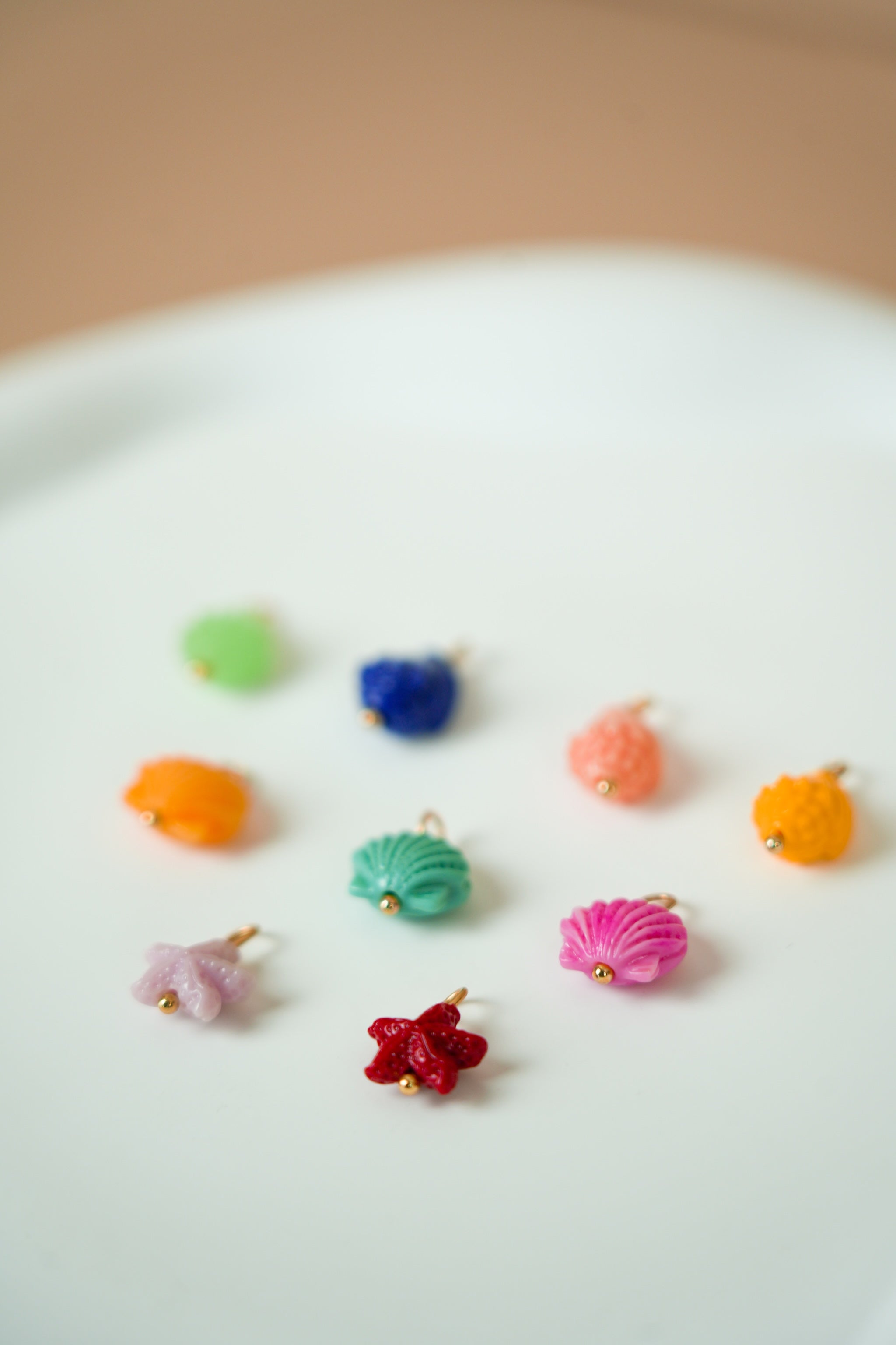Multicolour shells & starfish