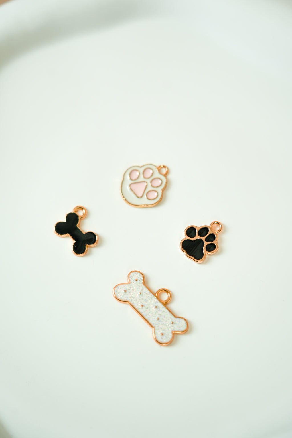 Paws&bones