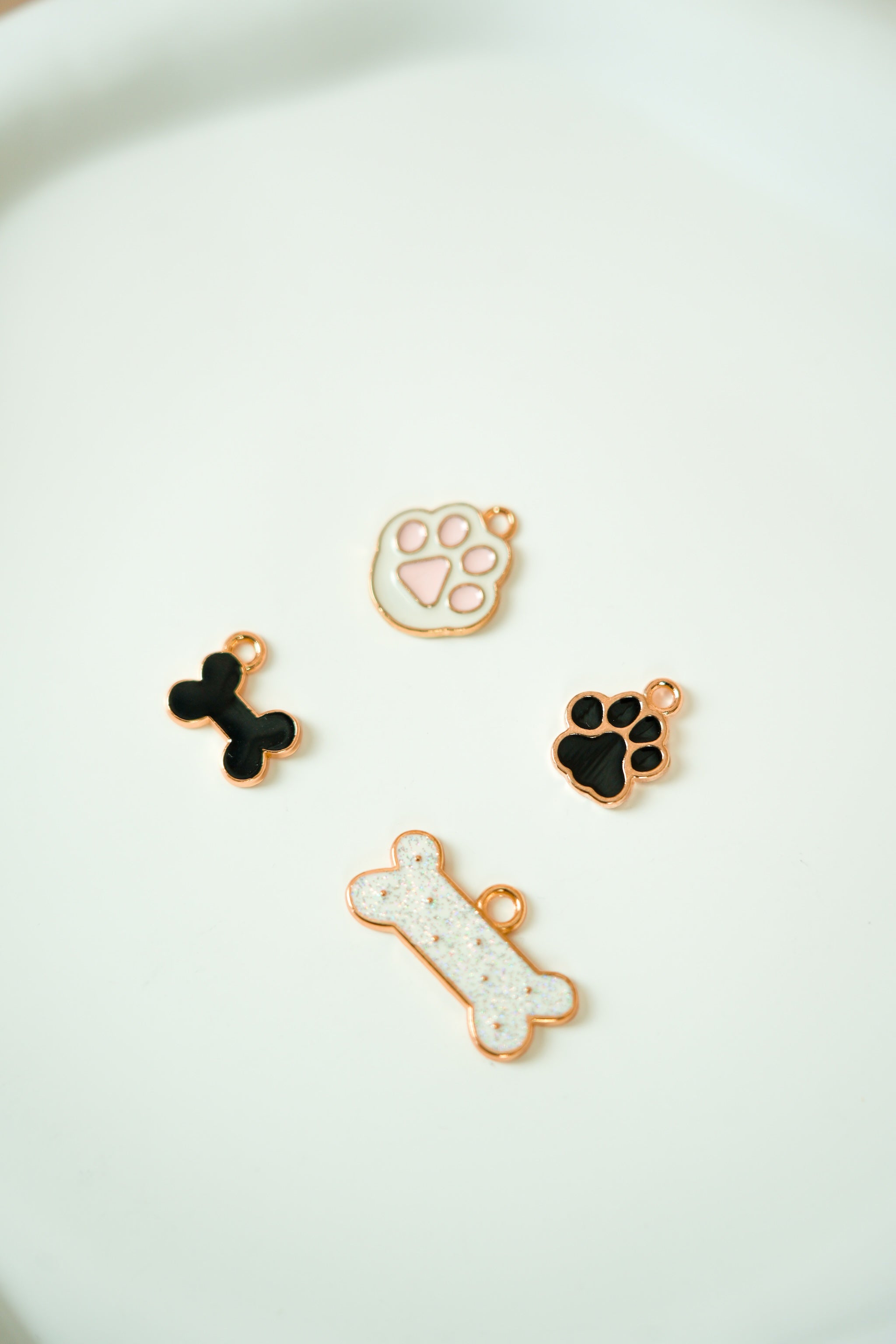 Paws&bones
