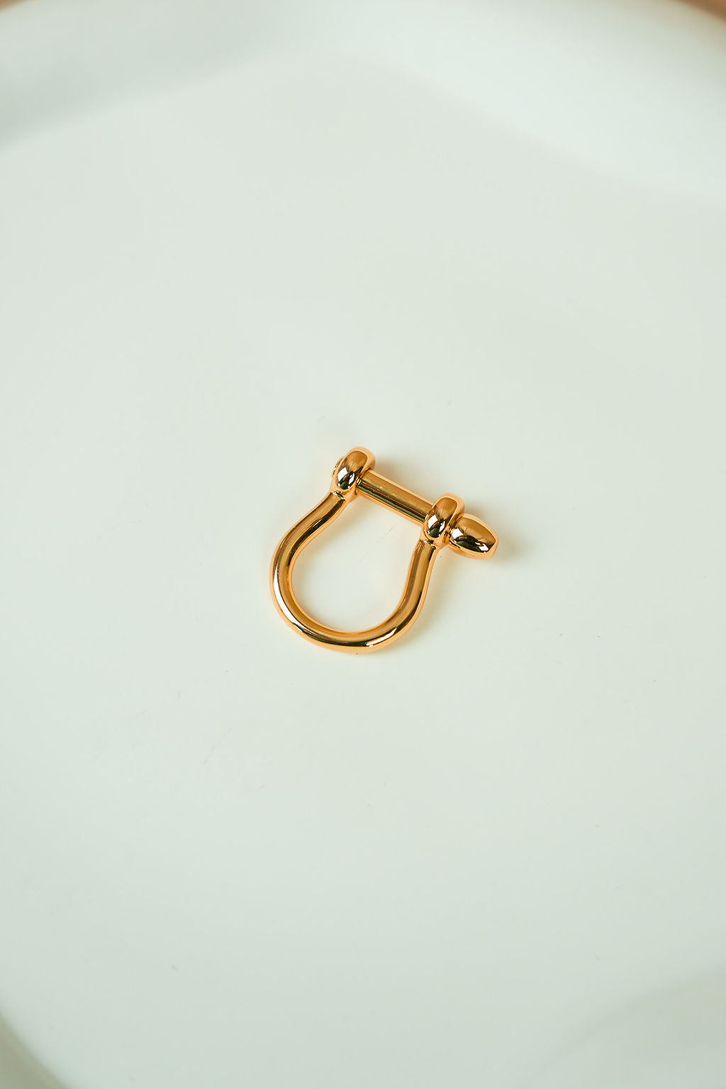 The D-ring (gold)
