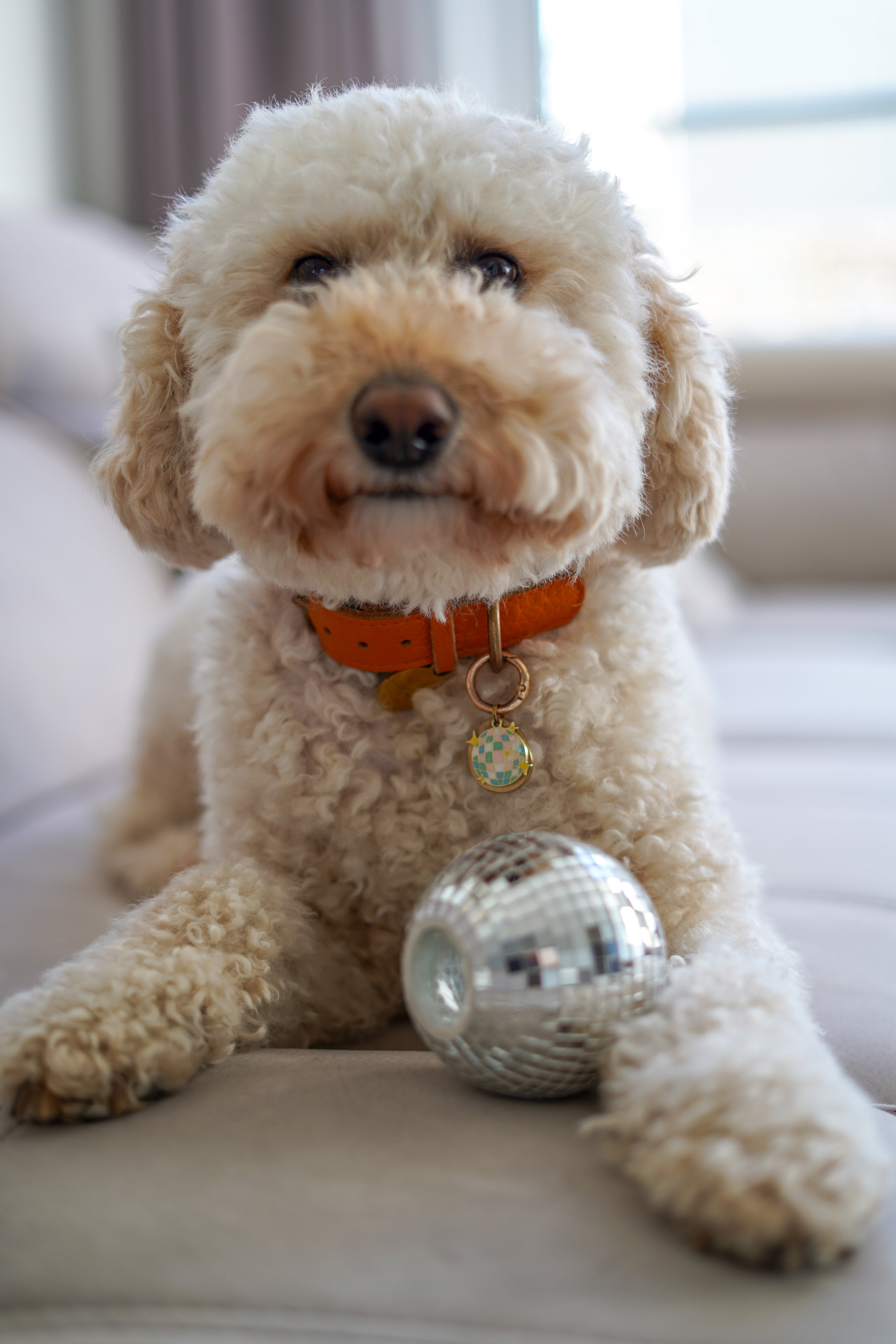Disco ball
