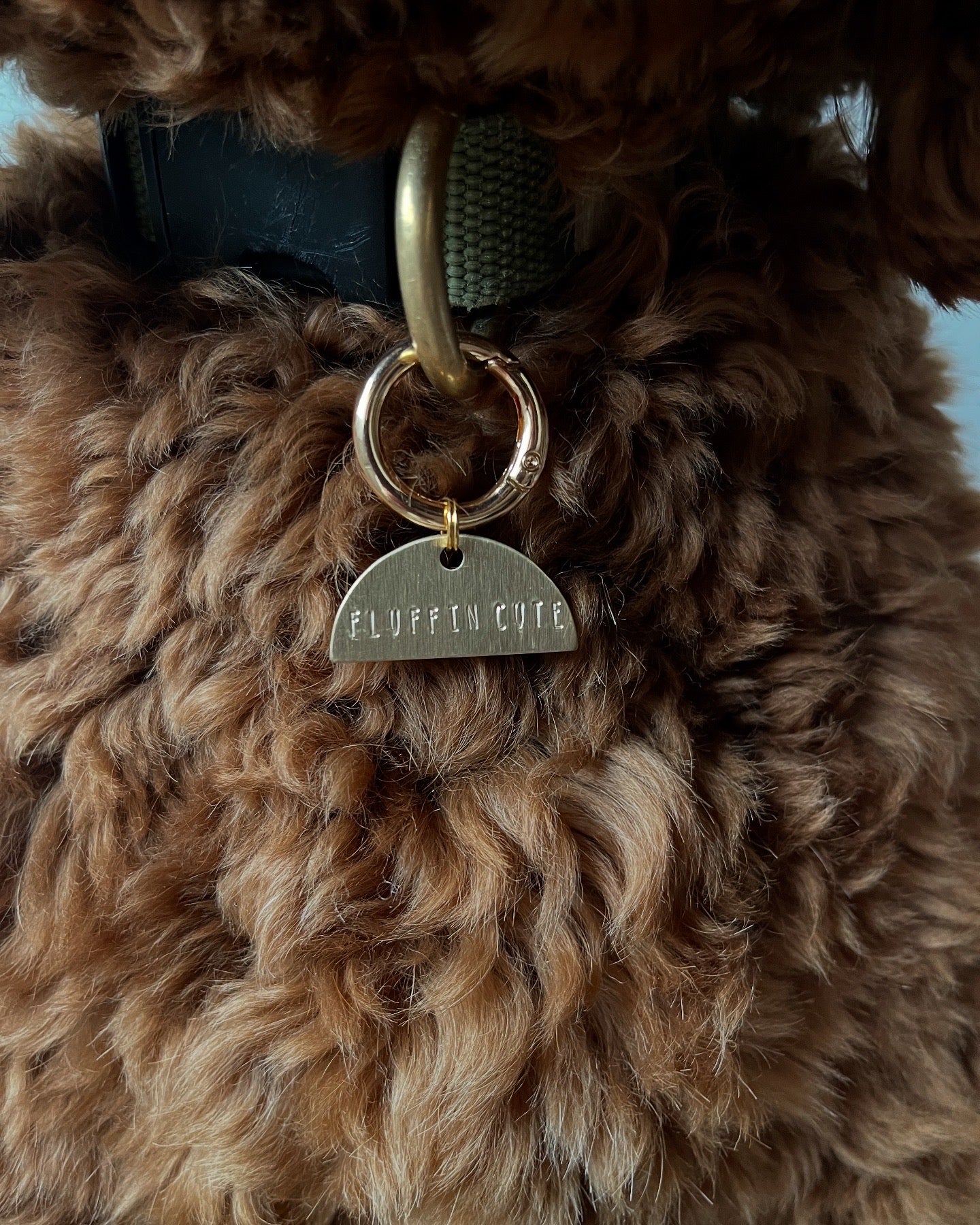 Exclusive tags