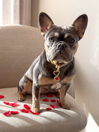 Our best-selling love charms (gold edition)